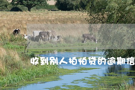 收到别人拍怕贷的逾期信息 收到别人拍怕贷的逾期信息