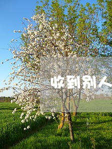 收到别人的借款逾期信息