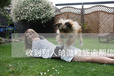收到别人的微粒贷逾期信息