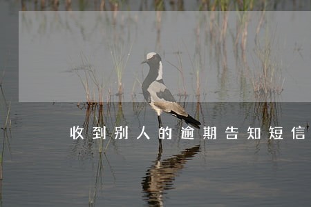 收到别人的逾期告知短信 收到别人的逾期告知短信