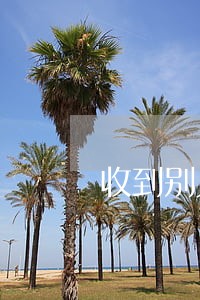 收到别人通知函恶意逾期 收到别人通知函恶意逾期