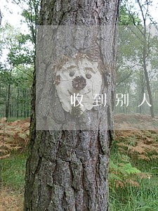 收到别人逾期短信 收到别人逾期短信