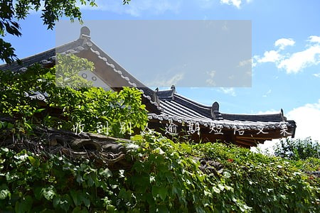 收到别人逾期短信文案
