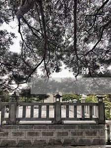 收到别人逾期还款的短信 收到别人逾期还款的短信