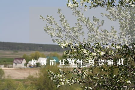 收到前任机主贷款逾期 收到前任机主贷款逾期