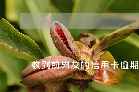 收到前男友的信用卡逾期短信 收到前男友的信用卡逾期短信