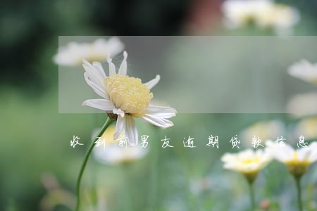 收到前男友逾期贷款信息 收到前男友逾期贷款信息