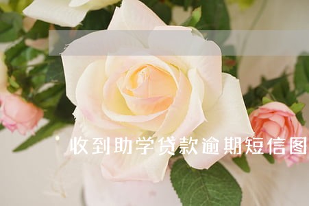 收到助学贷款逾期短信图片 收到助学贷款逾期短信图片