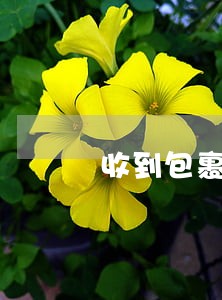 收到包裹侠说金融逾期通告涵 收到包裹侠说金融逾期通告涵