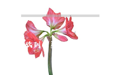 收到华夏信用卡逾期财产保全短信 收到华夏信用卡逾期财产保全短信