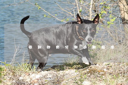 收到即有分期逾期短信 收到即有分期逾期短信