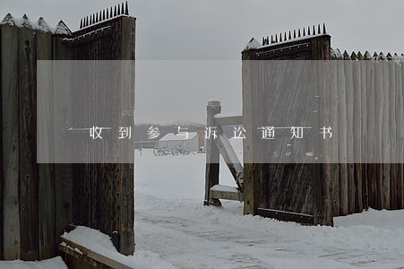 收到参与诉讼通知书 收到参与诉讼通知书
