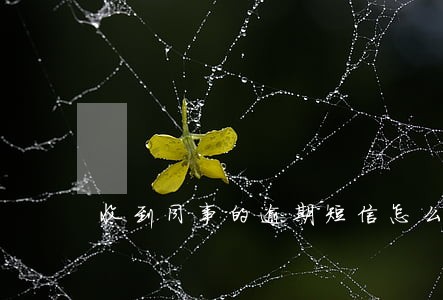 收到同事的逾期短信怎么办 收到同事的逾期短信怎么办
