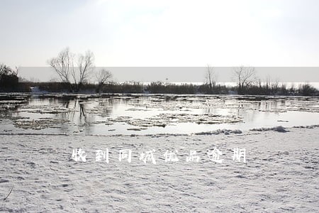 收到同城优品逾期 收到同城优品逾期
