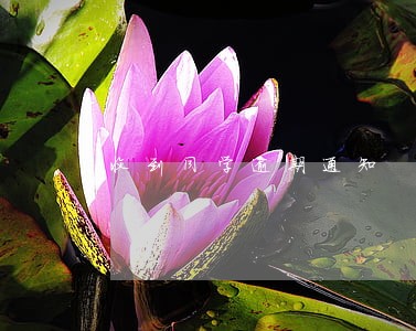 收到同学逾期通知 收到同学逾期通知