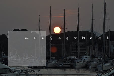 收到名为上海金融机构逾期 收到名为上海金融机构逾期