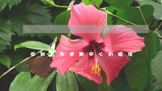 收到名为逾期中心的短信 收到名为逾期中心的短信