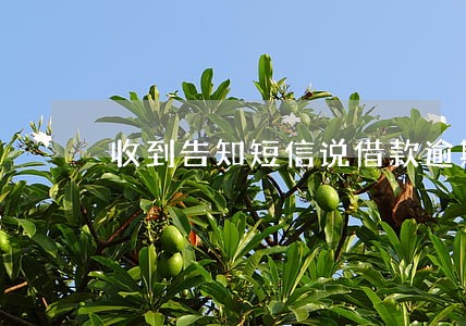 收到告知短信说借款逾期 收到告知短信说借款逾期