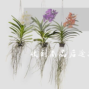 收到商品后逾期未安装退货 收到商品后逾期未安装退货