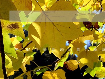 收到壹佰短信提示贷款逾期 收到壹佰短信提示贷款逾期