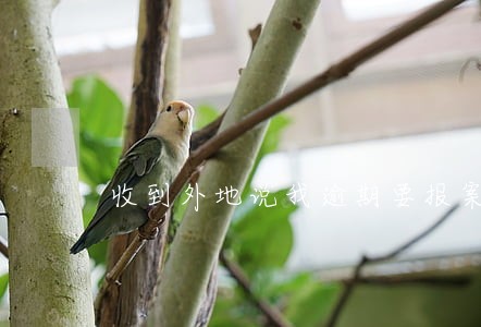 收到外地说我逾期要报案的短信 收到外地说我逾期要报案的短信