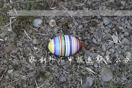 收到外汇申报逾期怎么办 收到外汇申报逾期怎么办