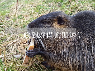 收到好借逾期短信 收到好借逾期短信