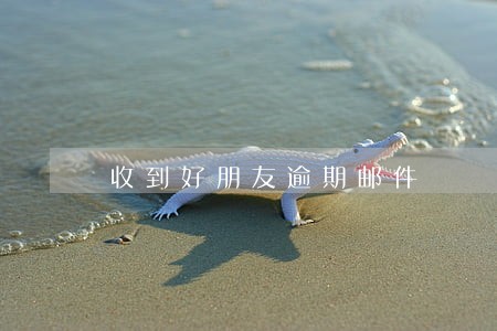 收到好朋友逾期邮件 收到好朋友逾期邮件