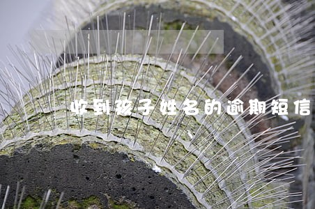 收到孩子姓名的逾期短信 收到孩子姓名的逾期短信