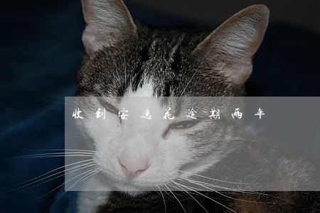 收到安逸花逾期两年 收到安逸花逾期两年