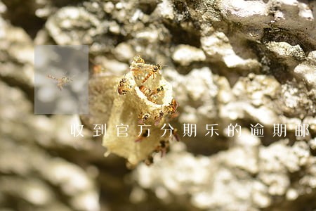 收到官方分期乐的逾期邮件
