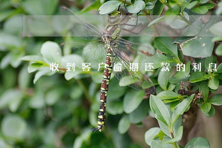 收到客户逾期还款的利息如何入账 收到客户逾期还款的利息如何入账