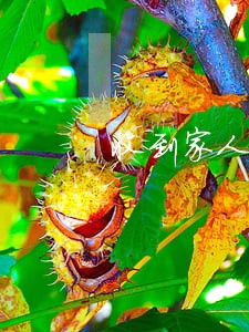 收到家人贷款逾期信息 收到家人贷款逾期信息