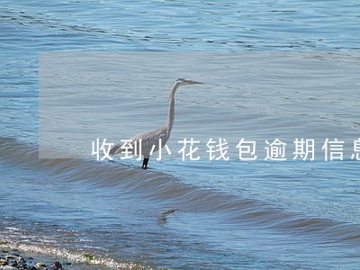 收到小花钱包逾期信息 收到小花钱包逾期信息