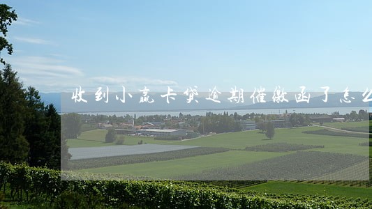 收到小赢卡贷逾期催缴函了怎么办 收到小赢卡贷逾期催缴函了怎么办