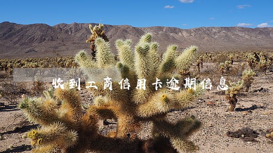 收到工商信用卡逾期信息 收到工商信用卡逾期信息