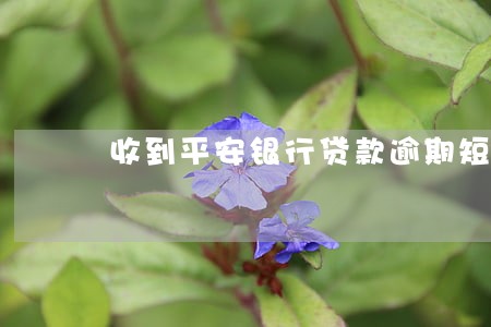 收到平安银行贷款逾期短信 收到平安银行贷款逾期短信