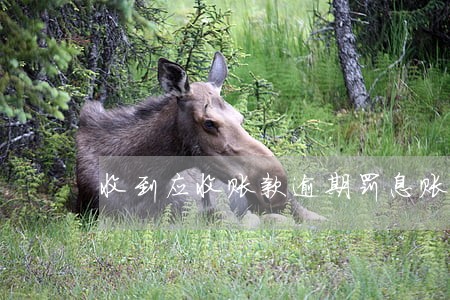 收到应收账款逾期罚息账务处理