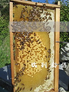收到彩信说我逾期 收到彩信说我逾期