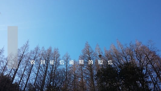 收到征信逾期的短信 收到征信逾期的短信