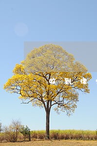 收到律师函后多久才能取保候审 收到律师函后多久才能取保候审
