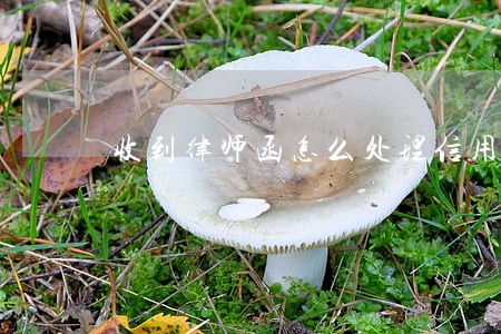 收到律师函怎么处理信用卡逾期 收到律师函怎么处理信用卡逾期