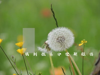 收到微乐分逾期短信 收到微乐分逾期短信