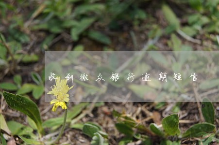收到微众银行逾期短信 收到微众银行逾期短信