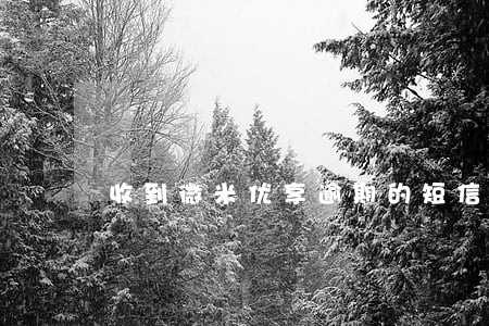 收到微米优享逾期的短信 收到微米优享逾期的短信