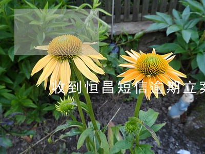 收到恒昌短信逾期立案审查 收到恒昌短信逾期立案审查