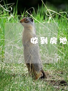 收到房地产公司逾期还款 收到房地产公司逾期还款