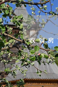 收到房贷逾期当天还款 收到房贷逾期当天还款