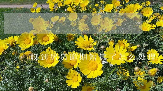 收到房贷逾期短信了怎么处理 收到房贷逾期短信了怎么处理