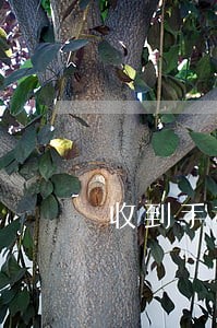 收到手机短信说爱又米逾期 收到手机短信说爱又米逾期